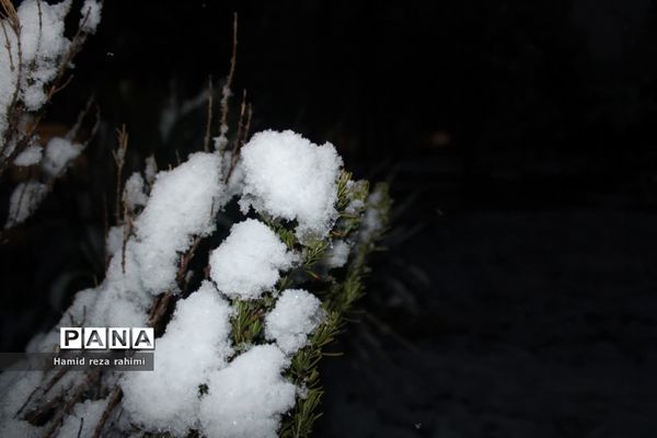 تهران لباس سفید بر تن کرد