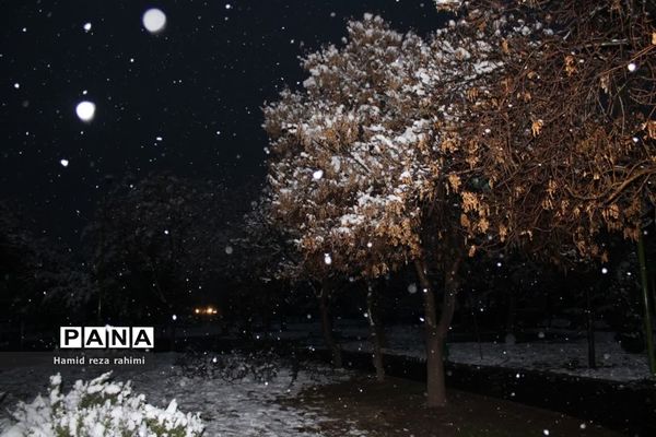 تهران لباس سفید بر تن کرد