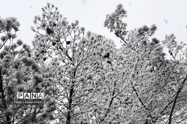 بارش برف زمستانی در فشافویه
