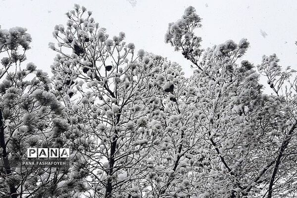 بارش برف زمستانی در فشافویه