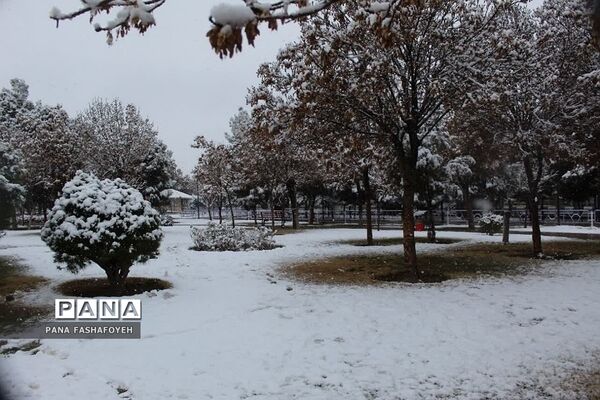 بارش برف زمستانی در فشافویه