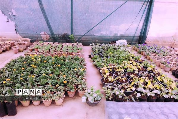 بازدید دانش‌آموزان برگزیده مسابقات پژوهش سراهای دانش‌آموزی از دانشگاه کشاورزی استان فارس