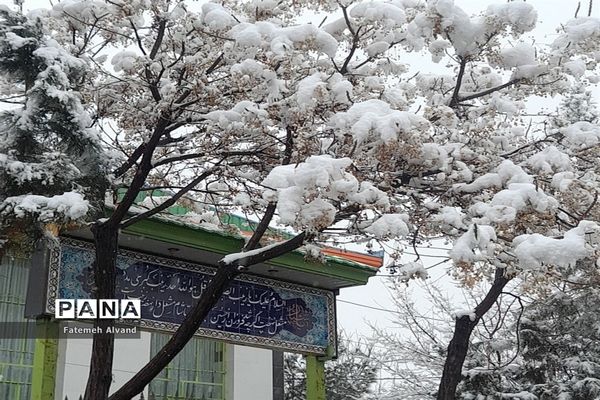بارش برف در قم