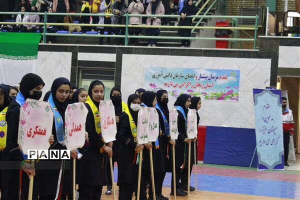 جشن یاوران انقلاب  در استان زنجان