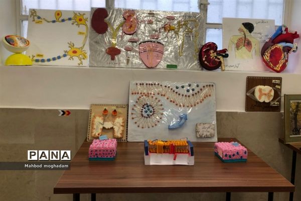 برگزاری نمایشگاه دست سازه‌های دانش‌آموزی در دبیرستان شهیده قزوینی منطقه ۱۳