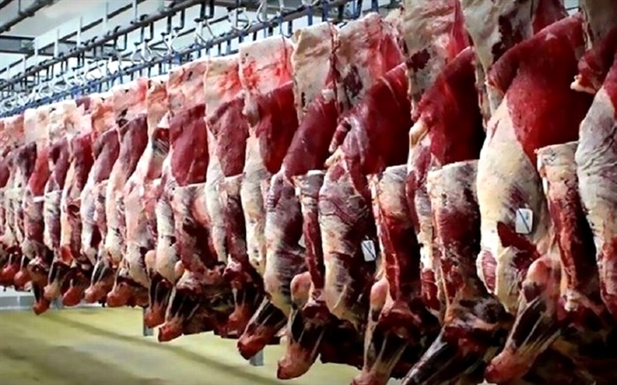 کاهش قیمت گوشت قرمز با عرضه انبوه دام از اواسط اسفندماه