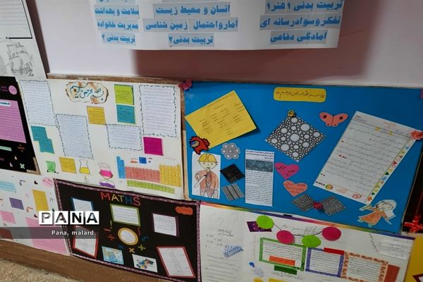 همایش یک روزه هدایت تحصیلی در صفادشت