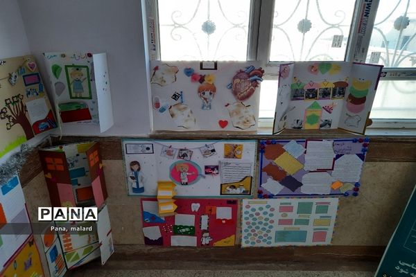 همایش یک روزه هدایت تحصیلی در صفادشت