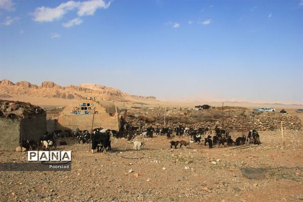 آغاز رزمایش جهادی دامپزشکی استان یزد در شهرستان ابرکوه