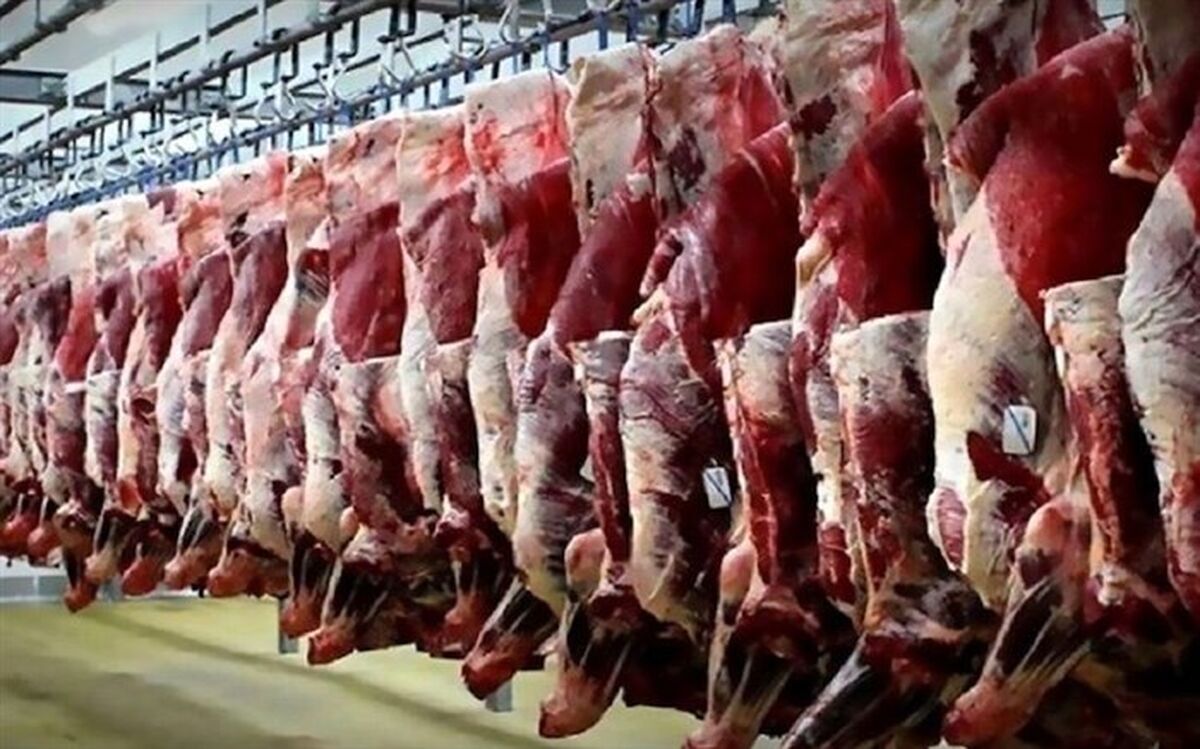 طرح‌‌ تولید قراردادی گوشت قرمز ابلاغ شد