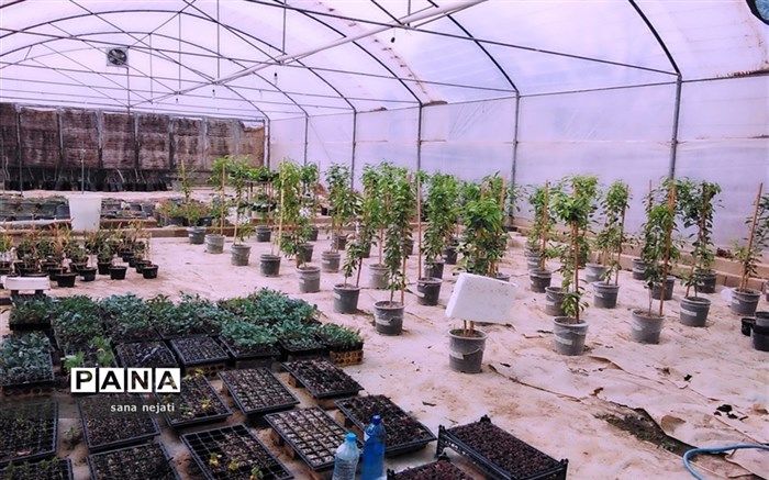 اعتبار دریافت وام با پروانه کسب کشاورزی