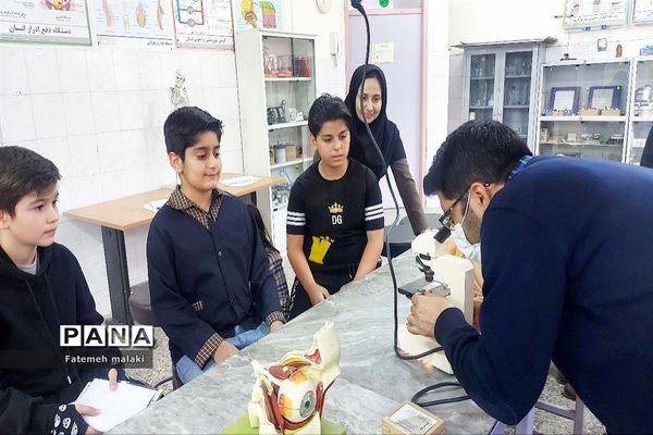 مسابقات علمی و تقدیر از رتبه‌های برتر در پژوهش سرای بوعلی سینا ملارد