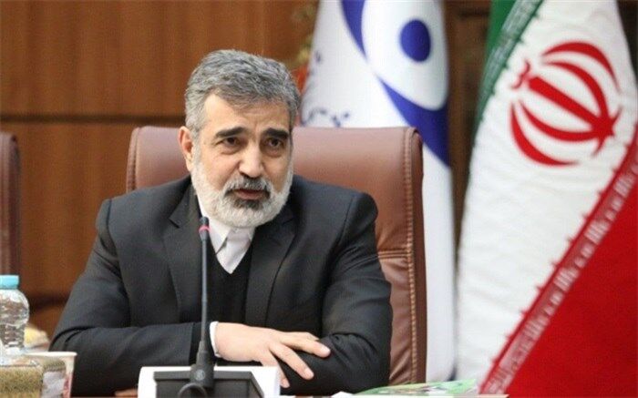 توضیح کمالوندی درباره فضاسازی‌ها مبنی بر غنی‌سازی 84درصدی ایران
