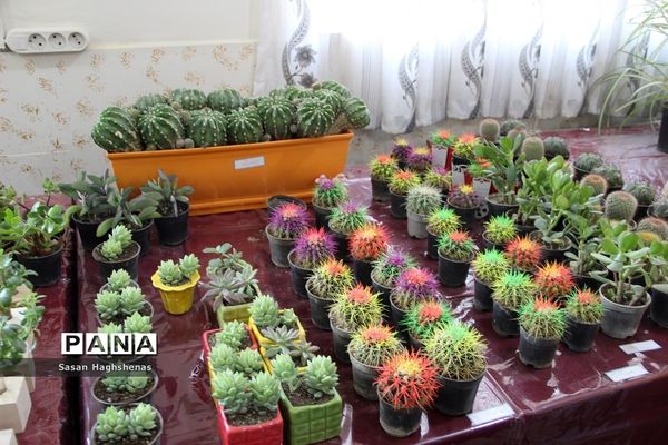 جشنواره توانمندی‌های فرهنگیان و دانش‌آموزان اسلامشهر