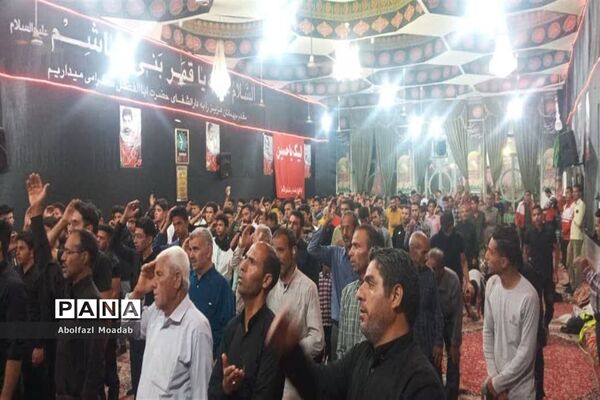 پذیرایی از کاروان‌های پیاده امام رضا(ع)