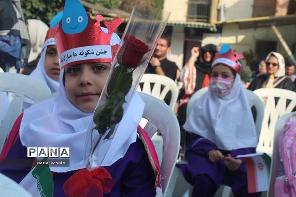 جشن شکوفه‌ها در ساری