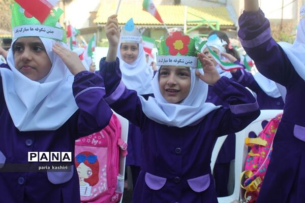 جشن شکوفه‌ها در ساری