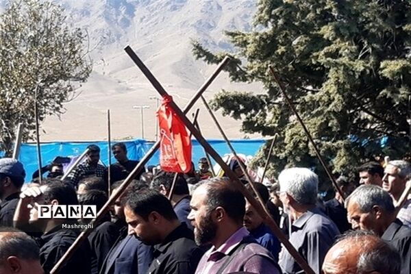 مراسم باشکوه سنتی مذهبی قالیشویان فین کاشان در مشهد اردهال