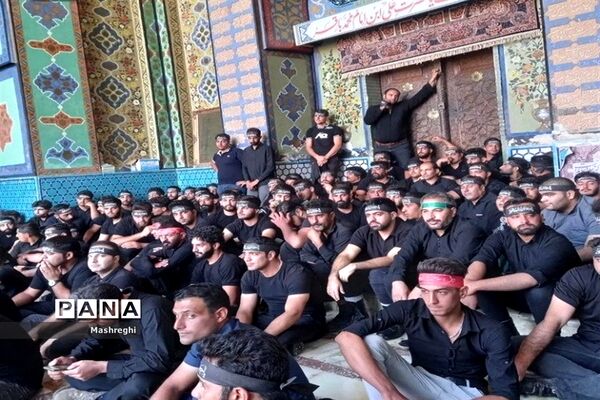 مراسم باشکوه سنتی مذهبی قالیشویان فین کاشان در مشهد اردهال