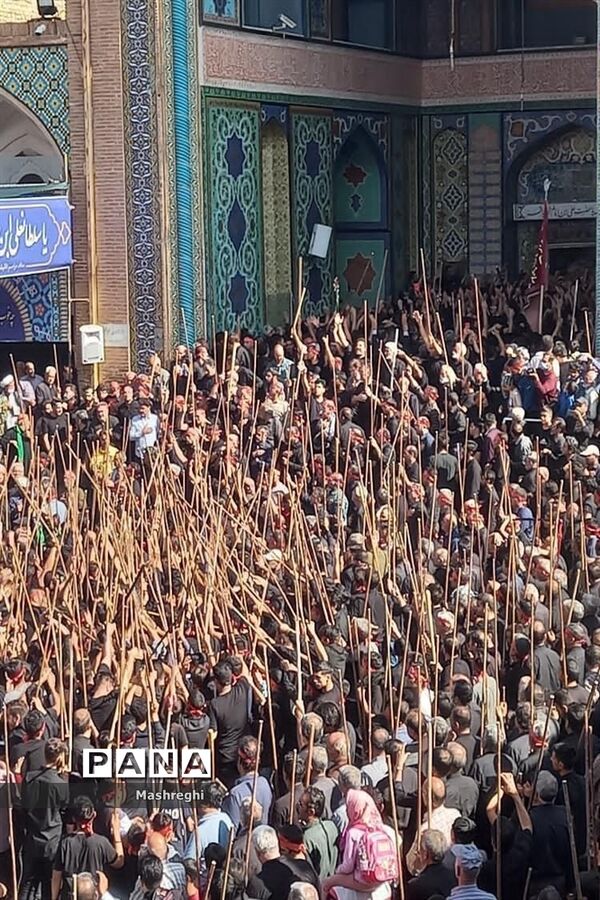 مراسم باشکوه سنتی مذهبی قالیشویان فین کاشان در مشهد اردهال