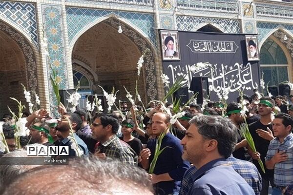 مراسم باشکوه سنتی مذهبی قالیشویان فین کاشان در مشهد اردهال