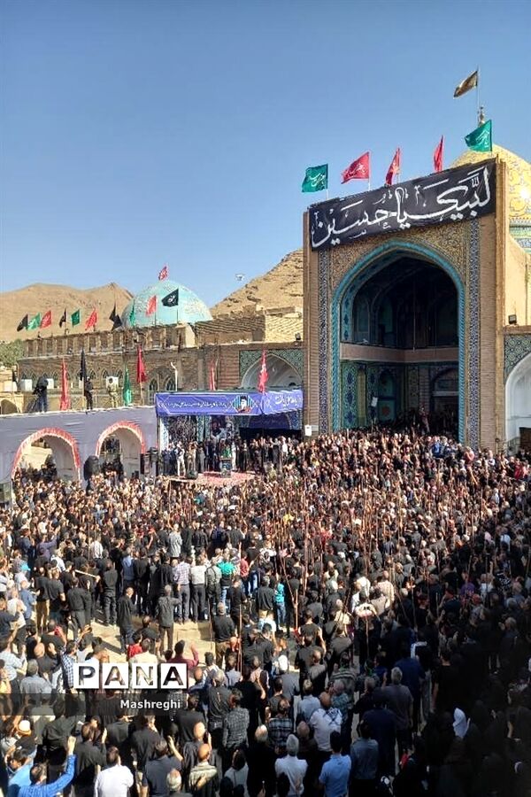 مراسم باشکوه سنتی مذهبی قالیشویان فین کاشان در مشهد اردهال