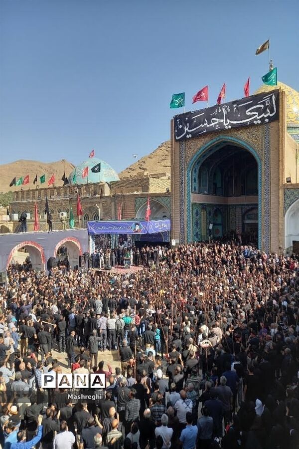 مراسم باشکوه سنتی مذهبی قالیشویان فین کاشان در مشهد اردهال