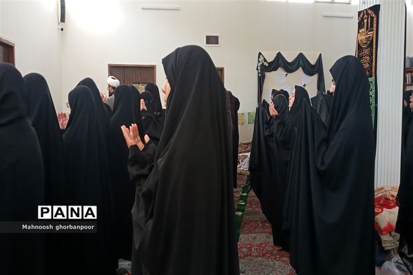 پذیرایی از زوار امام رضا علیه السلام