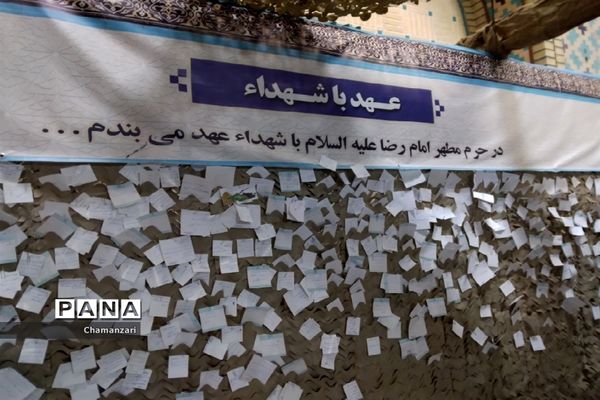 بزرگترین اجتماع دوست‌داران امام رضا(ع) در مشهد