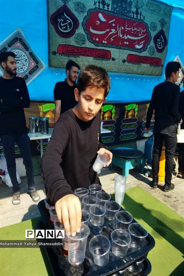 عزاداری سالروز شهادت امام رضا(ع) در سمنان