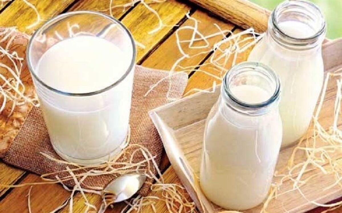 ضرورت مصرف شیر به‌عنوان یک میان وعده سالم برای دانش‌آموزان