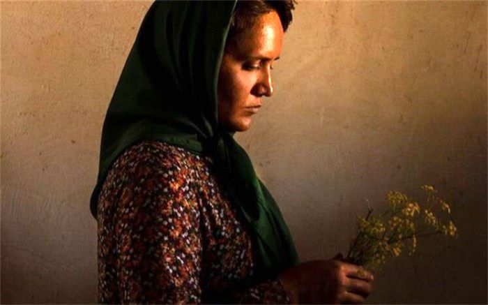 سیدمحمدرضا کمال علوی: ژانر را حداقل یک‌بار تجربه کنید