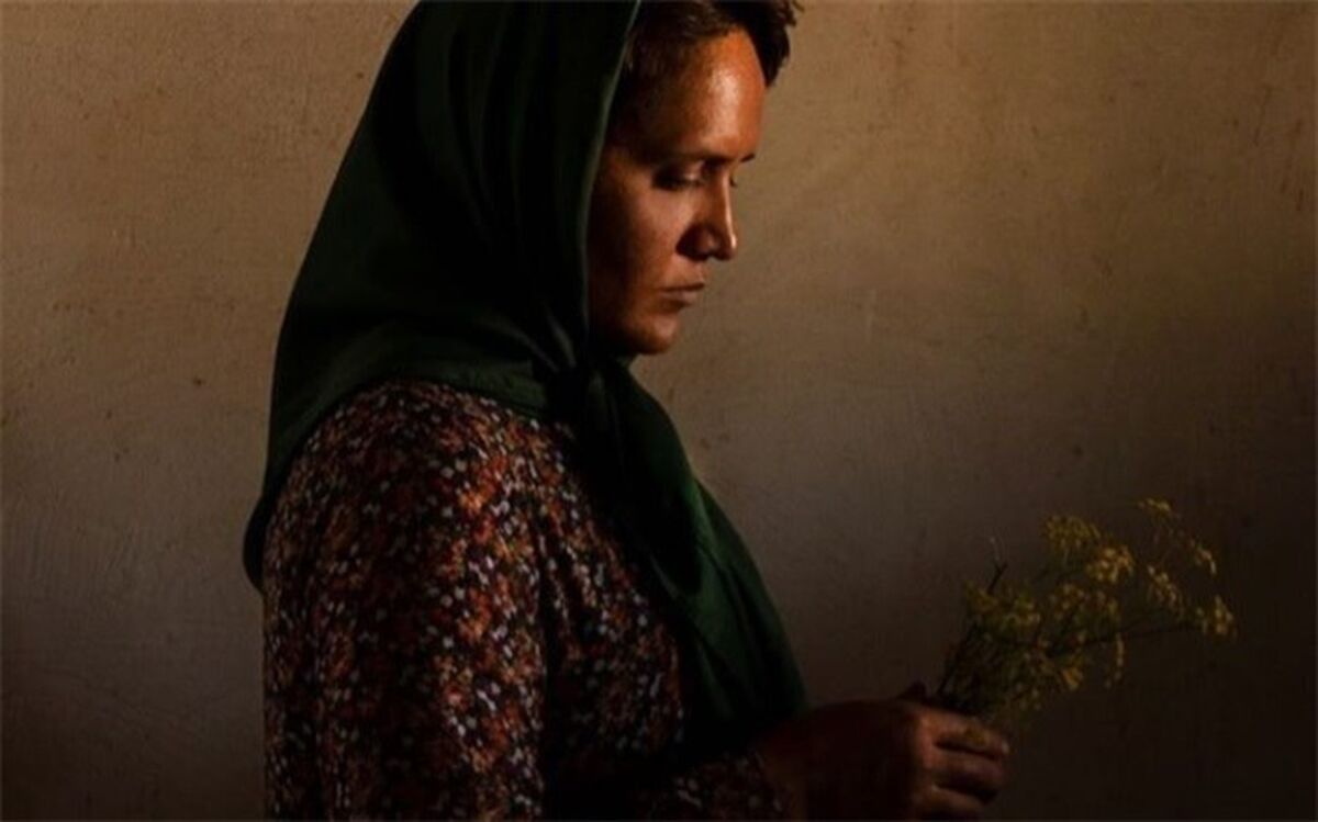 سیدمحمدرضا کمال علوی: ژانر را حداقل یک‌بار تجربه کنید