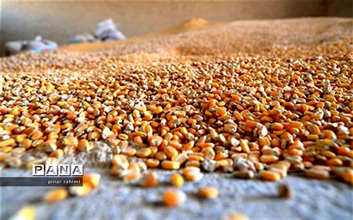 اگر مردم قدرت خرید داشته باشند؛ در تولید مشکلی نیست