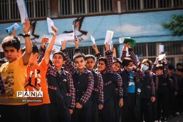 شور عاطفه‌ها-3