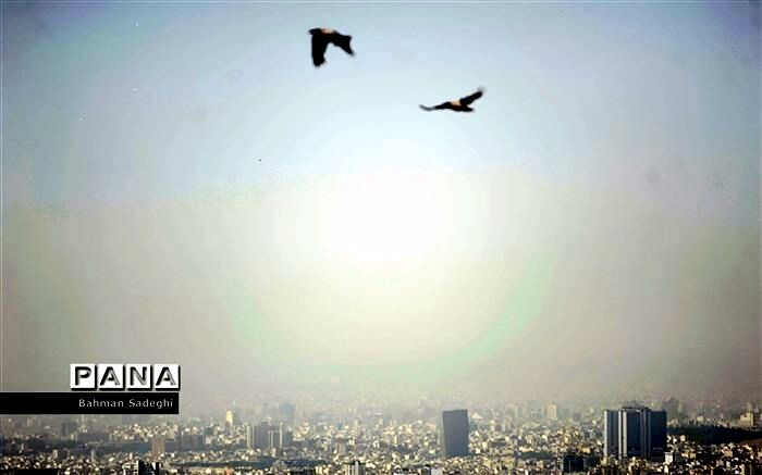 خیزش گرد و خاک در نیمه جنوبی تهران
