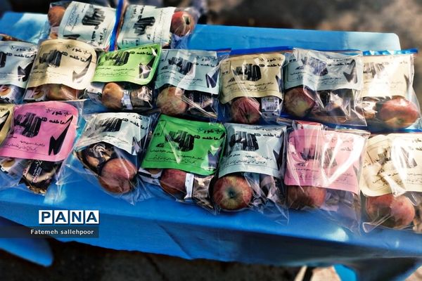 برگزاری جشن عاطفه‌ها با هدف ترویج همدلی از کودکی در دبستان دخترانه حضرت مریم (س)