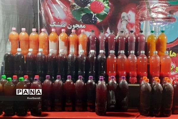 جشنواره وحدت اقوام ایرانی در دریاچه شهدای خلیج فارس