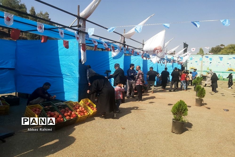 افتتاحیه سومین جشنواره انار در پاکدشت