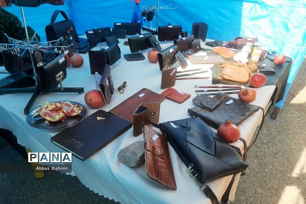 افتتاحیه سومین جشنواره انار در پاکدشت