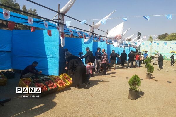 افتتاحیه سومین جشنواره انار در پاکدشت
