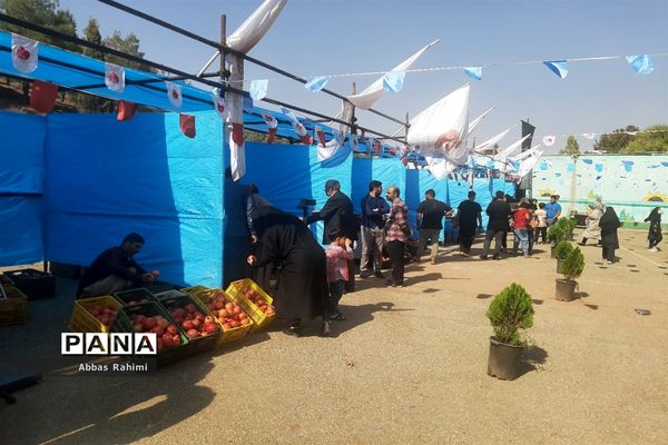 افتتاحیه سومین جشنواره انار در پاکدشت