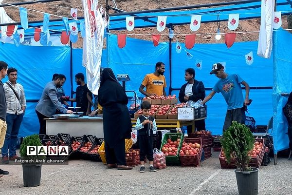 سومین دوره جشنواره انار در پاکدشت