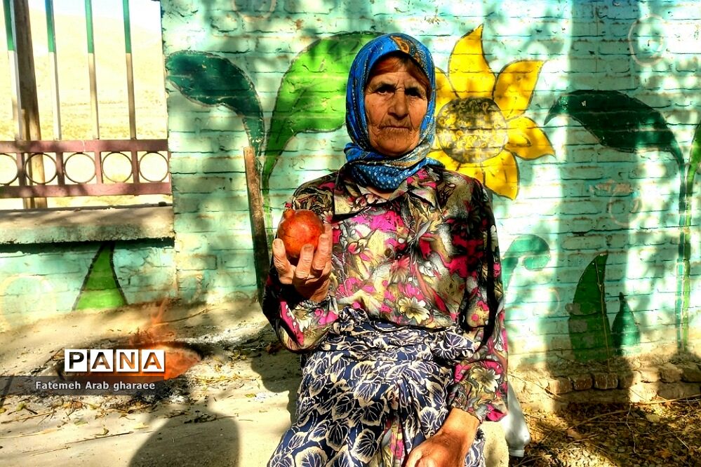 سومین دوره جشنواره انار در پاکدشت