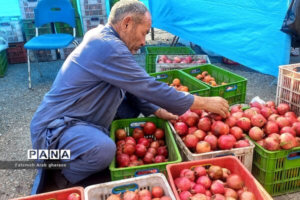 سومین دوره جشنواره انار در پاکدشت