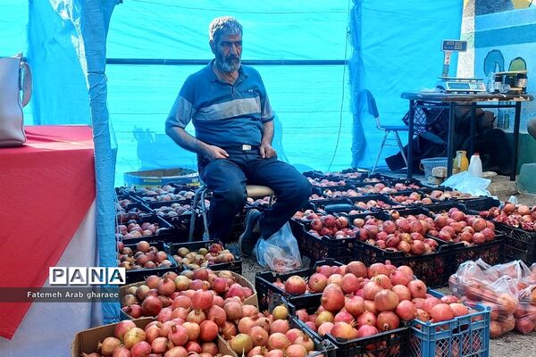 سومین دوره جشنواره انار در پاکدشت