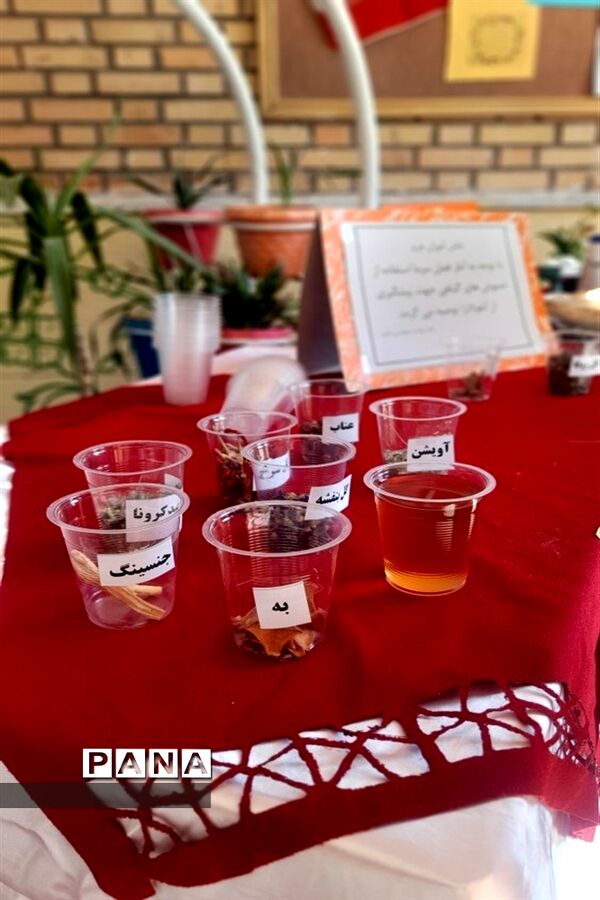 برگزاری جشنواره غذا در هنرستان عقیله بنی هاشم