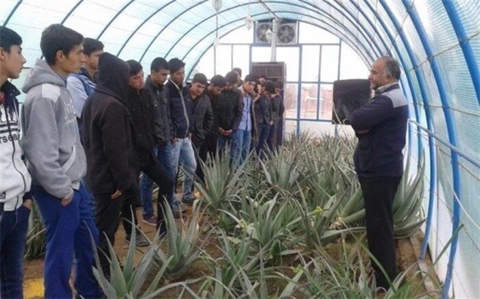 تشریح فرآیندهای توسعه هنرستان‌ها در سه سطح کشاورزی خرد، متوسط و کلان
