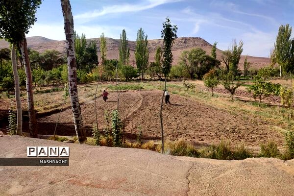 نخستین همایش «بازنمایی هویت روستایی» در شهرستان کاشان
