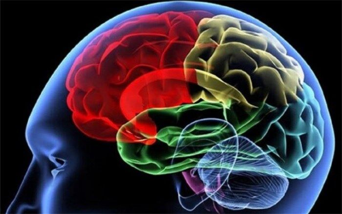 ترفندهای تقویت مغز